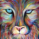 Mountain Lion